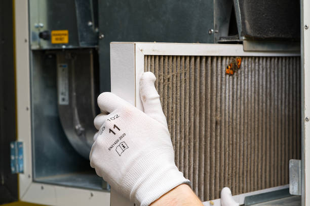 Best Local Air Duct Cleaning Services  in Mehlville, MO